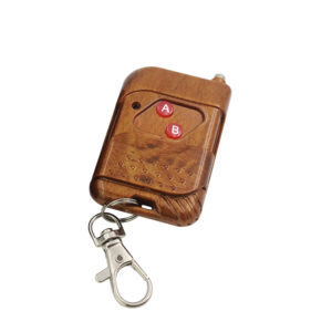 REB-PH2 Plastic 2-key Transmitter
