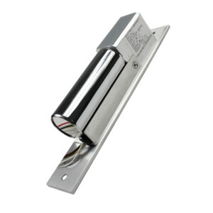 BL03-5L-TS Electric Bolt Lock